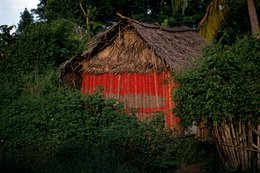 Bamboo;-Comoros-Archipelago;-Fence;-France;-Housing;-Hut;-Indian-Ocean;-Kaleidos;-Kaleidos-images;-La-parole-à-limage;-Laurent-Abad;-Mayotte;-Stories-Pictures;-Thatch;-Tin;-Vegetation